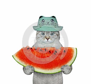 Cat ashen holding slice of watermelon