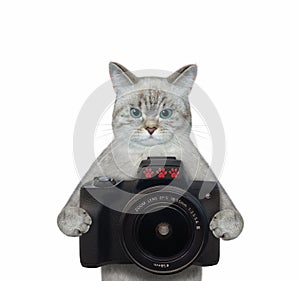 Cat ashen holds black camera