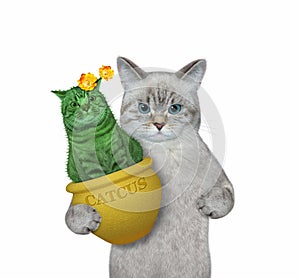 Cat ashen holds catcus in flower pot