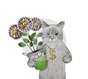 Cat ashen holds money flowers