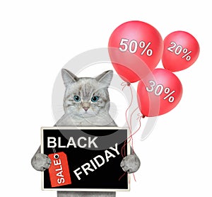 Cat ashen holds poster black friday