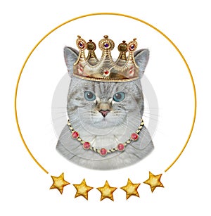 Cat ashen king in golden crown
