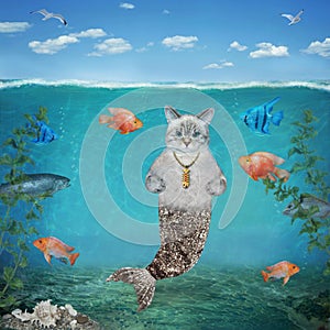 Cat ashen mermaid on seabed