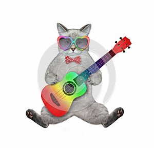 Cat ashen playing colored guitar