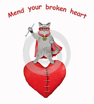 Cat ashen in red cloak mends broken heart