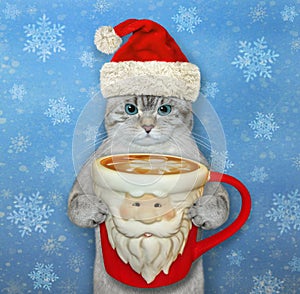 Cat ashen in Santa hat drinks coffee 2