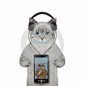 Cat ashen with smartphone listens to music 2