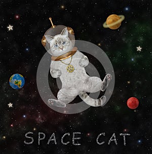 Cat ashen in spacesuit in outer space 2