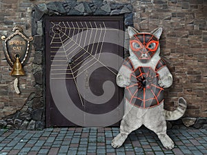Cat ashen in spider costume near his house