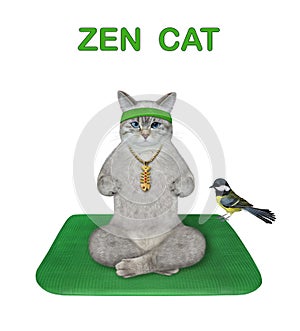 Cat ashen on square green mat doing yoga