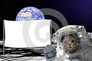 Cat astronaut on the moon with a banner behind him, on background of the globe
