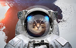 Cat Astronaut in outer space modern art. Elements of this image furnished by NASA.