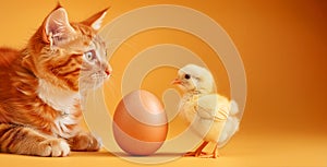 A cat and a baby bird are standing next to an egg. The scene is peaceful and calm, with the cat and bird coexisting in harmony.