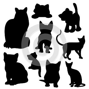 Cat Baby Kittens Silhouettes photo