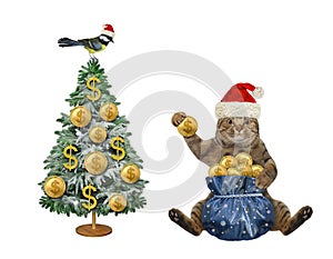 Cat with bag of gold dollars for Christmas 2