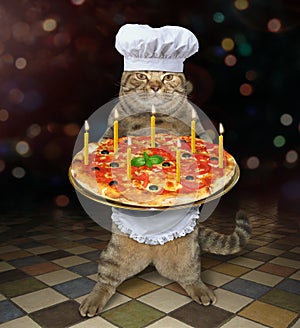 Cat baker holds holiday pizza