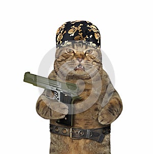 Cat in a bandana holds a gun