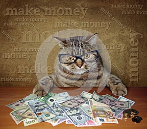 Cat banker 2