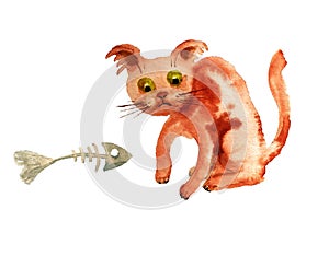 Cat with barebone of fish