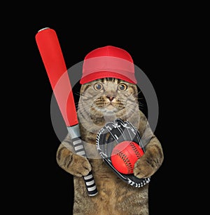 Cat baseball player holds red bat 2