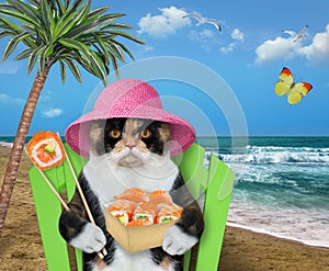 Cat on beach chair eats sushi 2