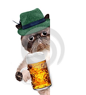 Cat with a beer mug