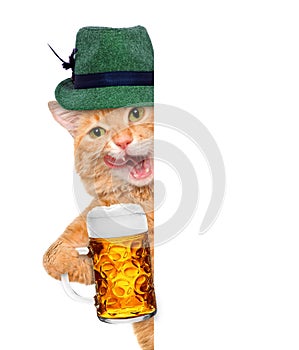 Cat with a beer mug.