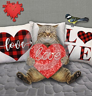 Cat beige with heart sausage on gray divan