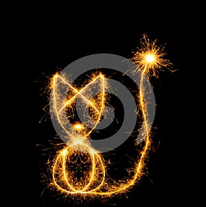 The cat from bengal fires