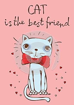 Cat is the best friend