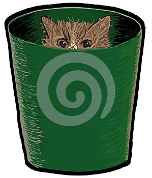 A Cat in a Bin