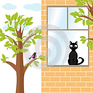 Cat and bird