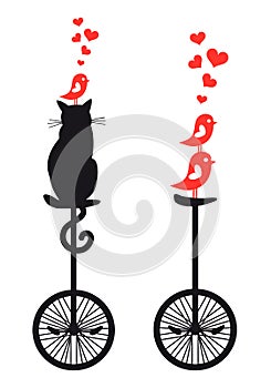 Cat and birds on bicycle, vector