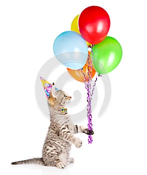 Cat in birthday hat holding balloons and looking up. isolated on white background