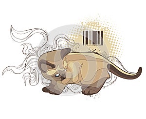 The cat on bizarre background