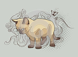 The cat on bizarre background