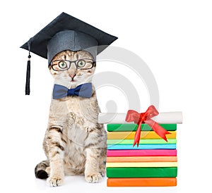 Cat with black graduation hat sitting near books with diploma. isolated on white background