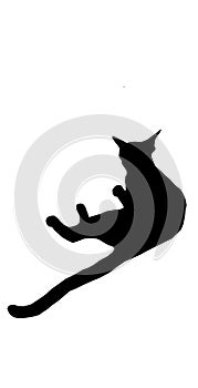 cat black silhouette vector illustration