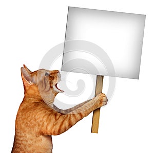 Cat Blank Sign