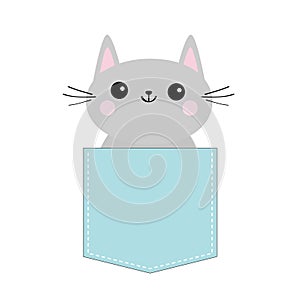 Cat in blue pocket. Cute cartoon character. Gray kitten Smiling kitty. Dash line. Pet animal collection. T-shirt baby design. Whit