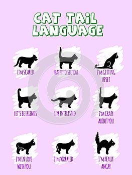 Cat body language behavior signals. Different emotions: frightened focused fearful angry friendly and relaxed