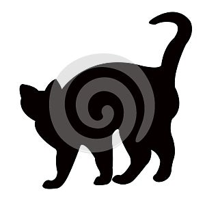 a cat body silhouette vector