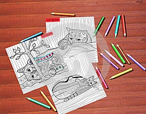 The Cat book - adult coloring books, stress relieving trend