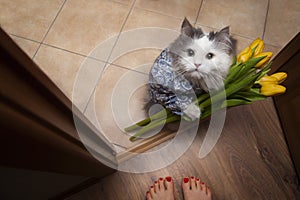 Cat with a bouquet at the feet of mistress