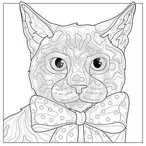 Cat with a bow.Animal.Coloring book antistress for children and adults