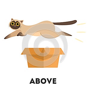 Cat and box. Learning preposition concept. Animal above
