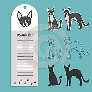 cat breed cornish rex. Set of stickers, silhouettes and contour line doodle vector illustrations pedigree pet. Design