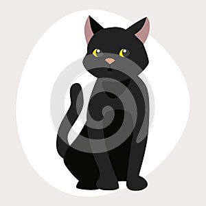 Cat breed cute pet black portrait fluffy young adorable cartoon animal and pretty fun play feline sitting mammal