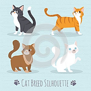 Cat Breed Silhouette