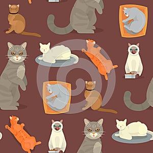 Cat breeds cute kitty pet cartoon cute animal cattish character seamless pattern background catlike illustration photo